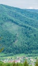 Carpathian forests and city in valley