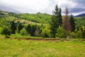 carpathian forests and mountains Royalty Free Stock Photo