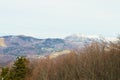 Carpathian forests and mountains Royalty Free Stock Photo