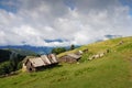 Carpathian landscape Royalty Free Stock Photo