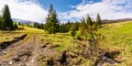 Carpathian landscape with green meadows and forest Royalty Free Stock Photo