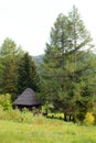 Carpathian landscape. Mountain view Royalty Free Stock Photo