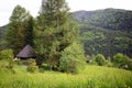 Carpathian landscape. Mountain view Royalty Free Stock Photo