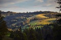 Carpathian landscape of the mountains and forest on sunset, Lviv region of Western Ukraine