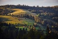 Carpathian landscape of the mountains and forest on sunset, Lviv region of Western Ukraine