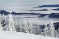 Carpathian mountain ridge above clouds level during freezing winter day Royalty Free Stock Photo