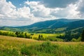 Carpathian mountain rural landscape in summer