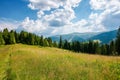 carpathian mountain rural landscape in summer