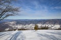 Carpathian mountains in beautiful beech forests in winter