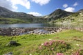 Carpathian Mountains beautiful summer scenery