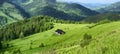 Carpathian mountains green hills nature background