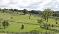 Carpathian mountains landscape Royalty Free Stock Photo