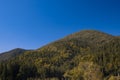 Carpathian mountains landscape forest green cover hill scenic view summer time season and clear weather blue sky nature Royalty Free Stock Photo