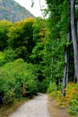 Carpathian Mountains. Landscape of the town Codlea, in Transzlvania, Romania. Royalty Free Stock Photo