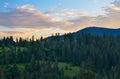 The Carpathian Mountains 2 Royalty Free Stock Photo