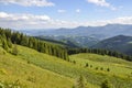 Carpathian mountains nature landscape of green grassy meadow on the valley surrounded by coniferous forest on the hills Royalty Free Stock Photo