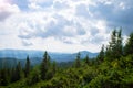 Carpathian Mountains. Panorama of green hills in summer mountain Royalty Free Stock Photo