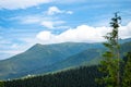 Carpathian Mountains. Panorama of green hills in summer mountain Royalty Free Stock Photo