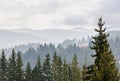 The Carpathian Mountains with pines forest, colored trees, cloudy vibrant sky, autumn-winter time. Predeal, Romania