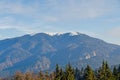 The Carpathian Mountains with pines forest, colored trees, cloudy vibrant sky, autumn-winter time. Predeal, Romania Royalty Free Stock Photo