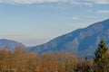 The Carpathian Mountains with pines forest, colored trees, cloudy vibrant sky, autumn-winter time. Predeal, Romania Royalty Free Stock Photo