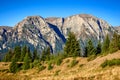 Carpathian Mountains, Romania Royalty Free Stock Photo