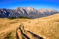 Carpathian Mountains, Romania Royalty Free Stock Photo