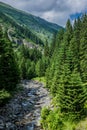 Carpathian Mountains, Romania Royalty Free Stock Photo