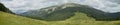 Carpathian Mountains: Sinyak Gorgan view tothe summit. Panorama. Royalty Free Stock Photo