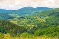 Carpathian mountains in summer morning, green nature