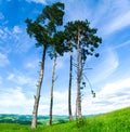 Carpathian mountains in Ukraine