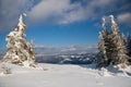 Carpathian mountains, Ukraine. Wonderful snow-covered firs against the backdrop of mountain peaks. Panoramic view of the Royalty Free Stock Photo