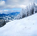 Carpathian mountains, Ukraine. Wonderful snow-covered firs against the backdrop of mountain peaks. Panoramic view of the Royalty Free Stock Photo