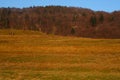 Carpathian mountains winter landscape with blue sky, red trees and clouds, natural background. Ukraine 2018. Royalty Free Stock Photo