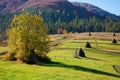 carpathian rural landscape in autumn Royalty Free Stock Photo