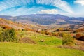 carpathian rural landscape in autumn Royalty Free Stock Photo