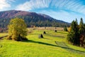 carpathian rural landscape in autumn Royalty Free Stock Photo