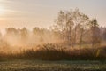 carpathian rural landscape in autumn. foggy weather at sunrise Royalty Free Stock Photo