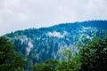 Carpathian summer mountains after rain Royalty Free Stock Photo
