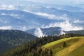 Carpathian upland pasture