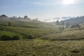 Carpathian village with foggy morning panorama of mountains valley at early summer morning Royalty Free Stock Photo