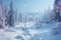 The Carpathian woods in winter, with trees frozen in snowy serenity