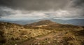 Carpathians forest. Mountains panorama background. Royalty Free Stock Photo