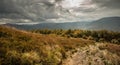 Carpathians forest. Mountains panorama background. Royalty Free Stock Photo