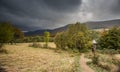 Carpathians forest. Mountains panorama background. Royalty Free Stock Photo