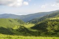 Carpathians with fresh green meadows, dense forests, mountain ranges in the background, Ukraine Royalty Free Stock Photo