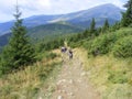 Getting up on Hoverla with friends Royalty Free Stock Photo