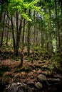 Carpathians mountains, Ukraine