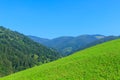 Carpathians mountains in Verkhovyna, Ukraine Royalty Free Stock Photo