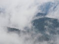 Carpatian mountains fog and mist at the pine forest Royalty Free Stock Photo